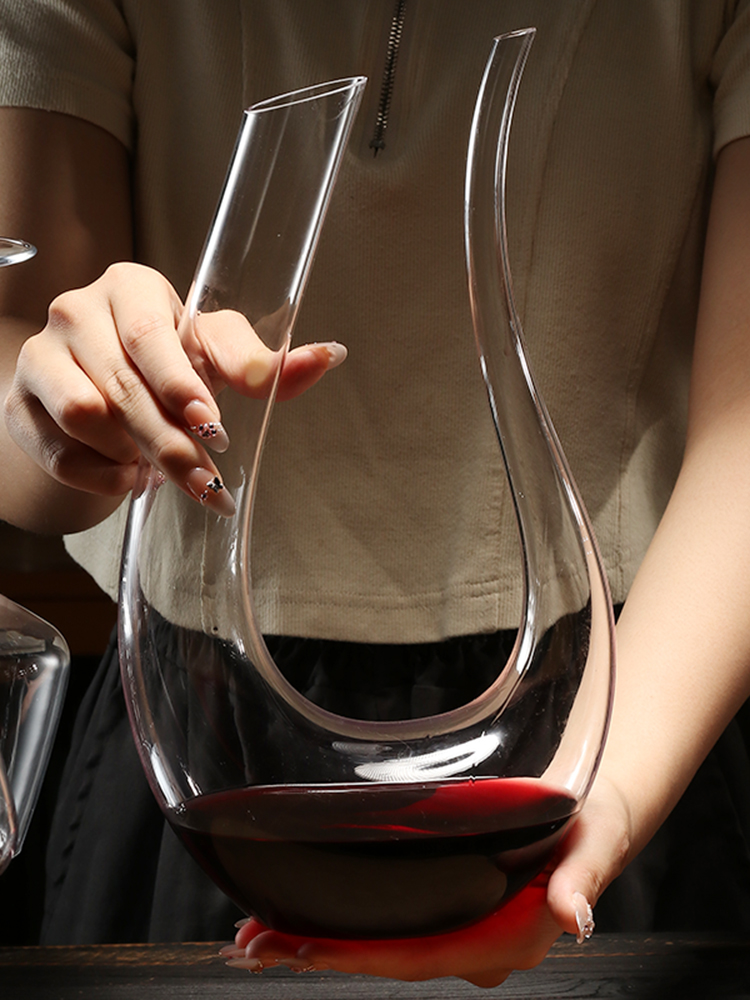 Premium Glass Wine Decanter Re – Wine Aerator Pour Bewertung und Preis