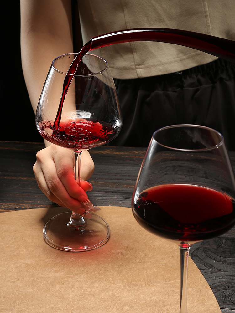 Premium Glass Wine Decanter Re – Wine Aerator Pour Bewertung und Preis